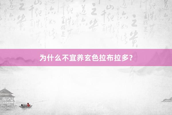 为什么不宜养玄色拉布拉多？